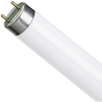 Лампа люминесцентная OSRAM L18 W765 G13 (холодный свет)